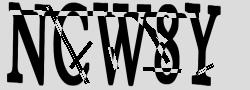 Retype the CAPTCHA code from the image